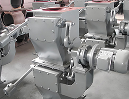 Double Flap Valve