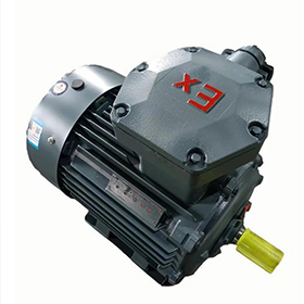 ATEX motor