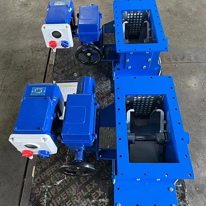B250 Flow control gate valve