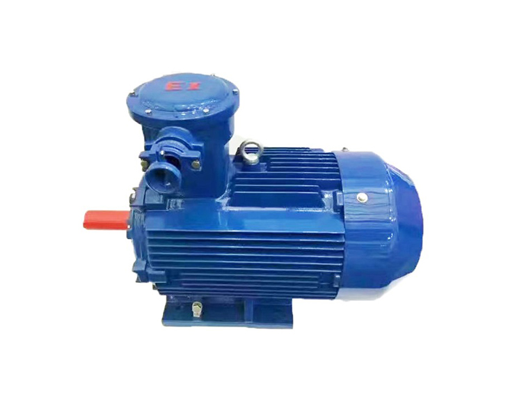 Rotary Valve Engine