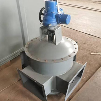 Custom flap diverter valve