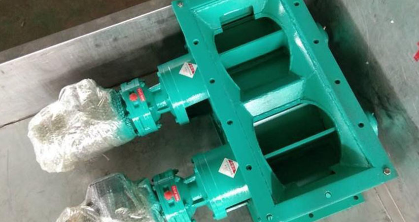 Double-axis Rotary Valve