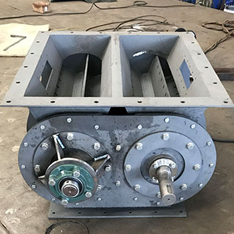 Double-axis Rotary Valve