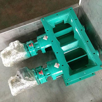 Double-axis Rotary Valve