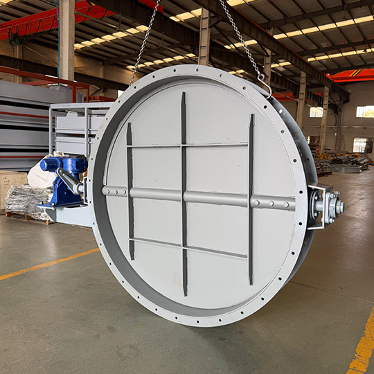 Butterfly Damper darko