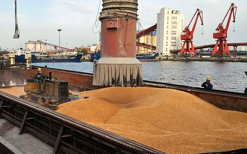 Darko Telescopic Chute dust free grain loading for silo truck port