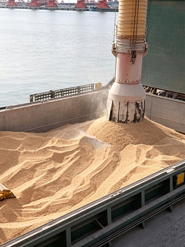 Darko telescopic loading spout for grain handling