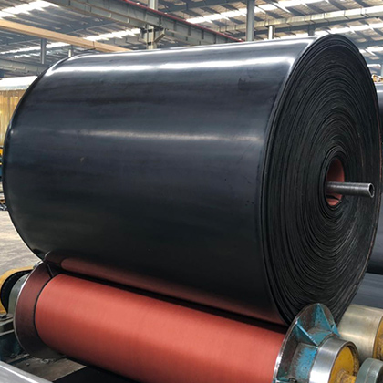 Acid Resistant Conveyor Belt