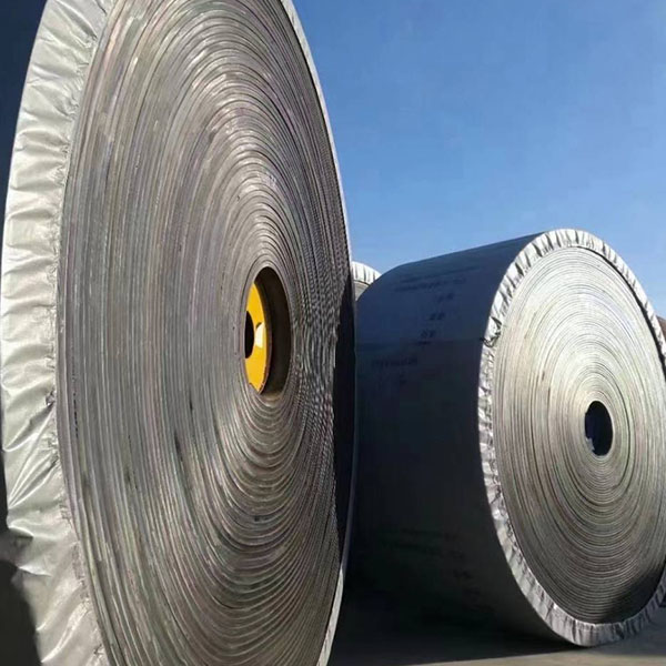 Darko Nylon Conveyor Belt