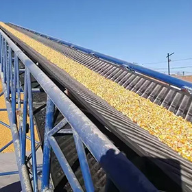 a high-angle, corrugated sidewall cleated conveyor belt