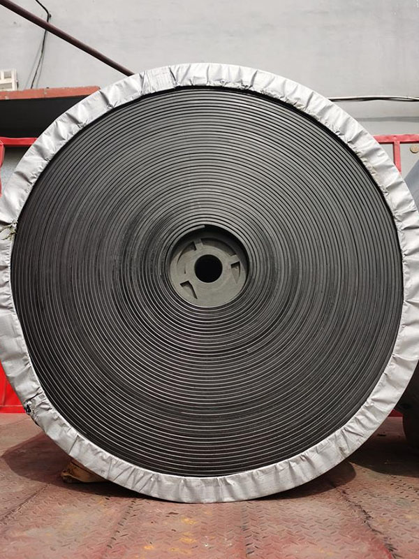 Nylon Conveyor Belt