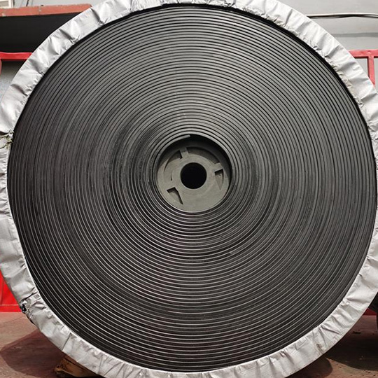 Roll of nylon conveyor belt