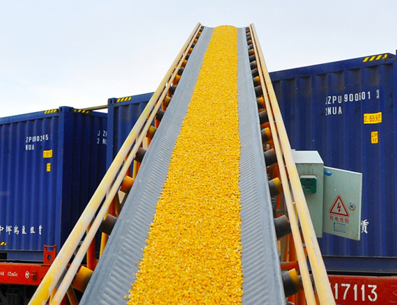 Grain and feed